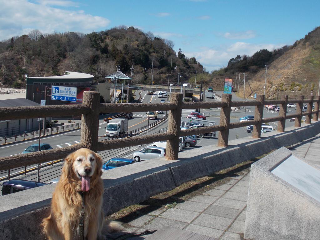 Hojo Suigun Youth Hostel Matsuyama  Bagian luar foto